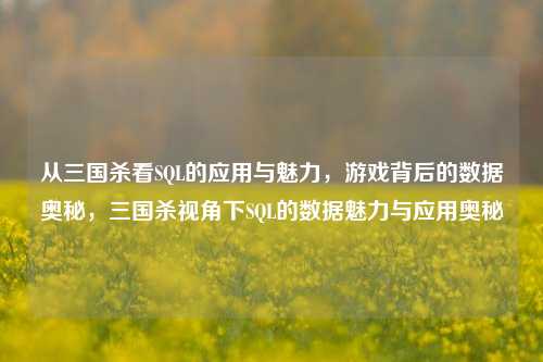 从三国杀看SQL的应用与魅力,游戏背后的数据奥秘,三国杀视角下SQL的数据魅力与应用奥秘