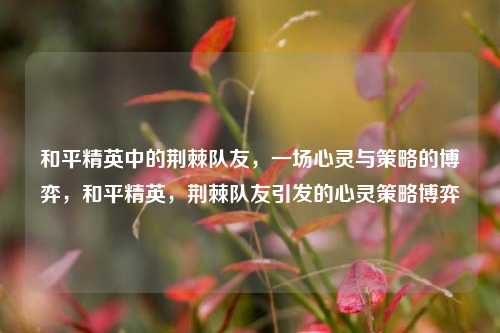 和平精英中的荆棘队友，一场心灵与策略的博弈，和平精英，荆棘队友引发的心灵策略博弈