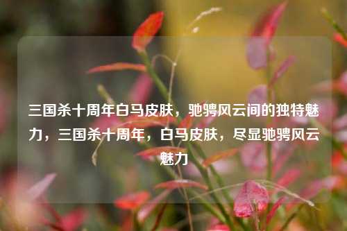 三国杀十周年白马皮肤，驰骋风云间的独特魅力，三国杀十周年，白马皮肤，尽显驰骋风云魅力