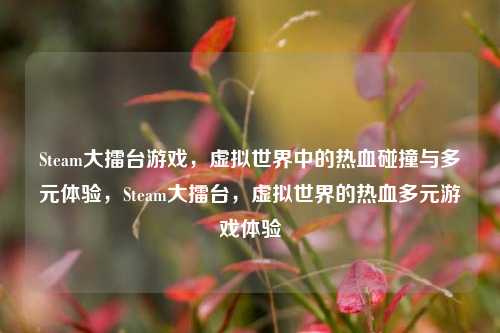 Steam大擂台游戏，虚拟世界中的热血碰撞与多元体验，Steam大擂台，虚拟世界的热血多元游戏体验