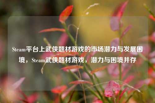 Steam平台上武侠题材游戏的市场潜力与发展困境,Steam武侠题材游戏,潜力与困境并存