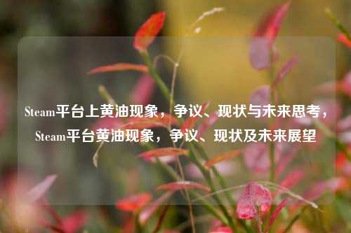 Steam平台上黄油现象，争议、现状与未来思考，Steam平台黄油现象，争议、现状及未来展望