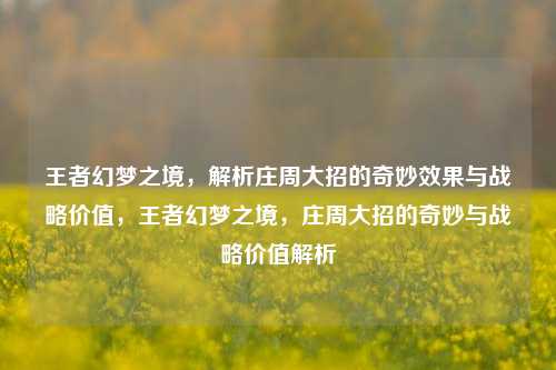 王者幻梦之境，解析庄周大招的奇妙效果与战略价值，王者幻梦之境，庄周大招的奇妙与战略价值解析