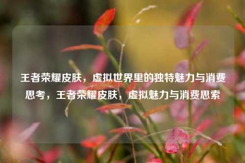 王者荣耀皮肤,虚拟世界里的独特魅力与消费思考,王者荣耀皮肤,虚拟魅力与消费思索