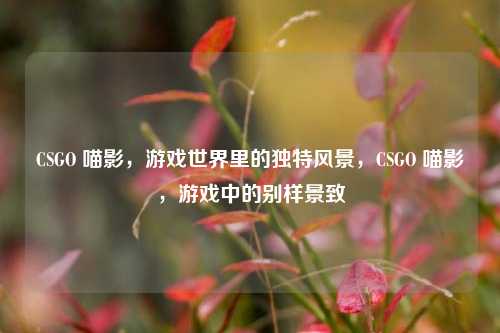 CSGO 喵影,游戏世界里的独特风景,CSGO 喵影,游戏中的别样景致