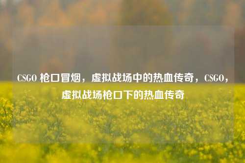CSGO 枪口冒烟，虚拟战场中的热血传奇，CSGO，虚拟战场枪口下的热血传奇