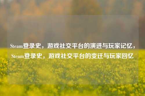 Steam登录史，游戏社交平台的演进与玩家记忆，Steam登录史，游戏社交平台的变迁与玩家回忆