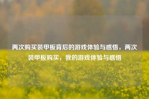 两次购买装甲板背后的游戏体验与感悟,两次装甲板购买,我的游戏体验与感悟
