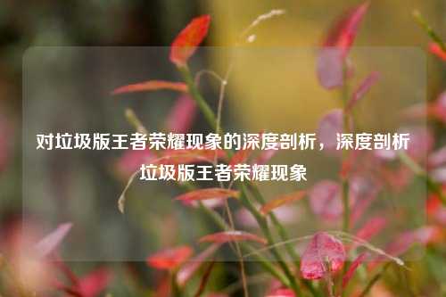 对垃圾版王者荣耀现象的深度剖析,深度剖析垃圾版王者荣耀现象