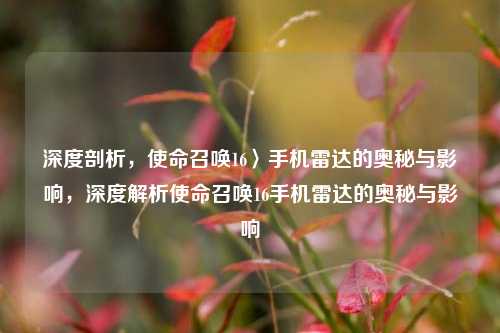 深度剖析,使命召唤16〉手机雷达的奥秘与影响,深度解析使命召唤16手机雷达的奥秘与影响