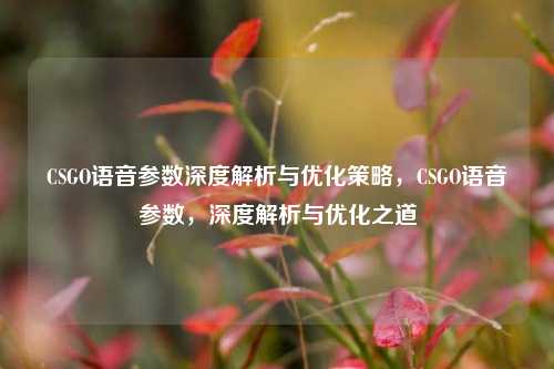 CSGO语音参数深度解析与优化策略,CSGO语音参数,深度解析与优化之道