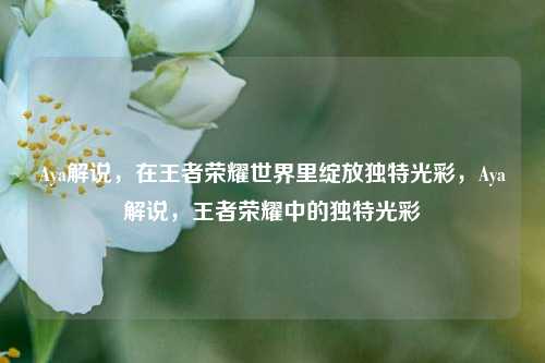 Aya解说,在王者荣耀世界里绽放独特光彩,Aya解说,王者荣耀中的独特光彩