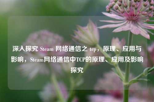 深入探究 Steam 网络通信之 tcp,原理、应用与影响,Steam网络通信中TCP的原理、应用及影响探究