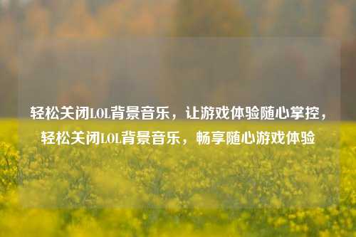 轻松关闭LOL背景音乐,让游戏体验随心掌控,轻松关闭LOL背景音乐,畅享随心游戏体验