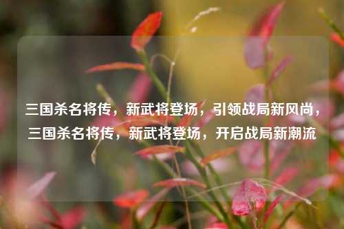 三国杀名将传,新武将登场,引领战局新风尚,三国杀名将传,新武将登场,开启战局新潮流