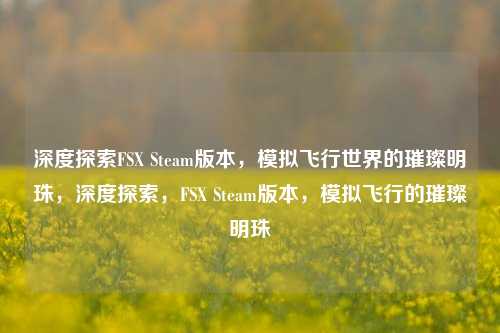 深度探索FSX Steam版本,模拟飞行世界的璀璨明珠,深度探索,FSX Steam版本,模拟飞行的璀璨明珠