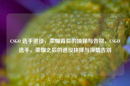CSGO 选手退役,荣耀背后的抉择与告别,CSGO选手,荣耀之后的退役抉择与深情告别
