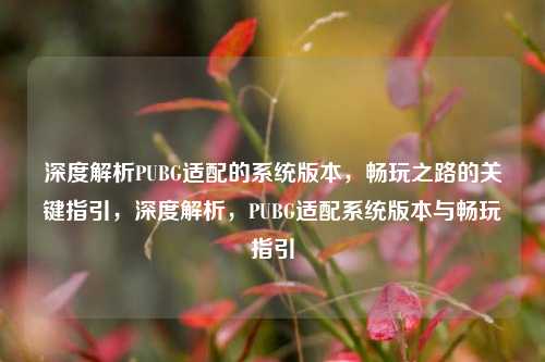 深度解析PUBG适配的系统版本,畅玩之路的关键指引,深度解析,PUBG适配系统版本与畅玩指引
