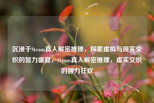 沉浸于Steam真人解密推理,探索虚拟与现实交织的智力盛宴,Steam真人解密推理,虚实交织的智力狂欢