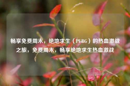 畅享免费周末,绝地求生(PUBG)的热血激战之旅,免费周末,畅享绝地求生热血激战