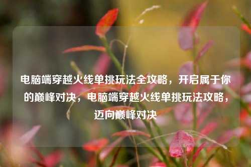 电脑端穿越火线单挑玩法全攻略,开启属于你的巅峰对决,电脑端穿越火线单挑玩法攻略,迈向巅峰对决
