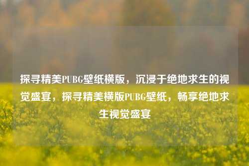 探寻精美PUBG壁纸横版,沉浸于绝地求生的视觉盛宴,探寻精美横版PUBG壁纸,畅享绝地求生视觉盛宴