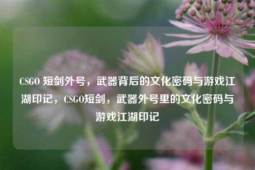 CSGO 短剑外号,武器背后的文化密码与游戏江湖印记,CSGO短剑,武器外号里的文化密码与游戏江湖印记