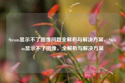 Steam显示不了图像问题全解析与解决方案，Steam显示不了图像，全解析与解决方案