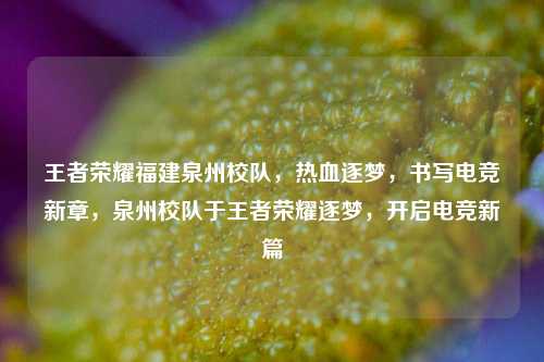 王者荣耀福建泉州校队,热血逐梦,书写电竞新章,泉州校队于王者荣耀逐梦,开启电竞新篇