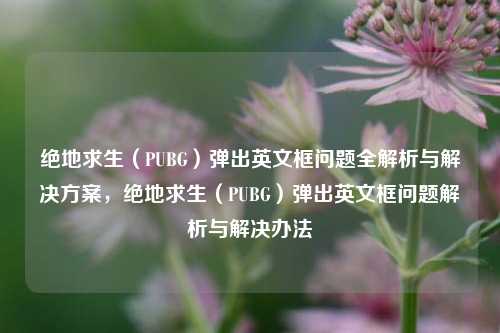 绝地求生(PUBG)弹出英文框问题全解析与解决方案,绝地求生(PUBG)弹出英文框问题解析与解决办法