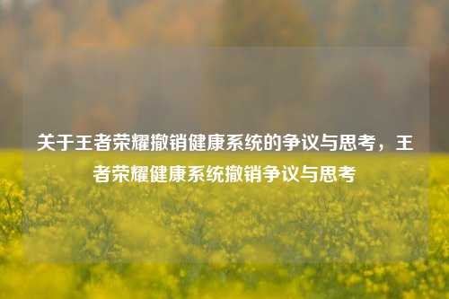 关于王者荣耀撤销健康系统的争议与思考,王者荣耀健康系统撤销争议与思考