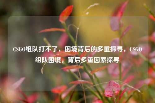 CSGO组队打不了，困境背后的多重探寻，CSGO组队困境，背后多重因素探寻