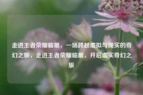 走进王者荣耀临展,一场跨越虚拟与现实的奇幻之旅,走进王者荣耀临展,开启虚实奇幻之旅