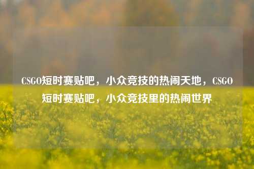 CSGO短时赛贴吧,小众竞技的热闹天地,CSGO短时赛贴吧,小众竞技里的热闹世界