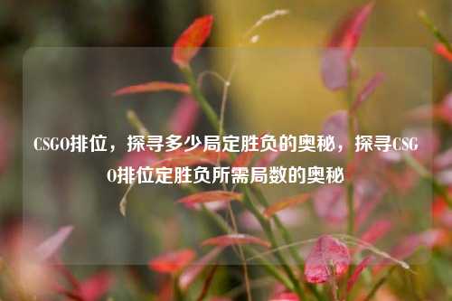 CSGO排位,探寻多少局定胜负的奥秘,探寻CSGO排位定胜负所需局数的奥秘