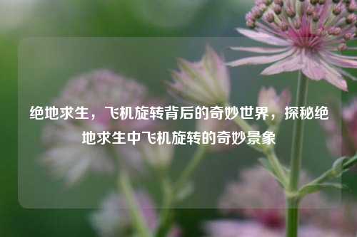 绝地求生,飞机旋转背后的奇妙世界,探秘绝地求生中飞机旋转的奇妙景象