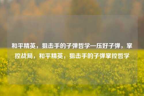 和平精英,狙击手的子弹哲学—压好子弹,掌控战局,和平精英,狙击手的子弹掌控哲学