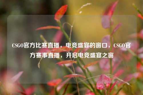CSGO官方比赛直播,电竞盛宴的窗口,CSGO官方赛事直播,开启电竞盛宴之窗