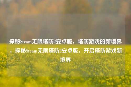 探秘Steam无限塔防2安卓版,塔防游戏的新境界,探秘Steam无限塔防2安卓版,开启塔防游戏新境界