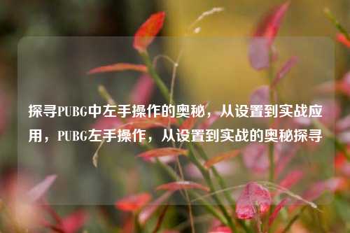 探寻PUBG中左手操作的奥秘,从设置到实战应用,PUBG左手操作,从设置到实战的奥秘探寻