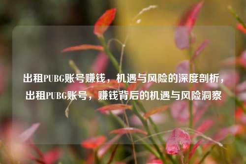出租PUBG账号赚钱，机遇与风险的深度剖析，出租PUBG账号，赚钱背后的机遇与风险洞察