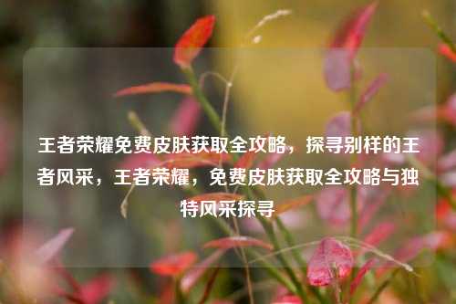 王者荣耀免费皮肤获取全攻略,探寻别样的王者风采,王者荣耀,免费皮肤获取全攻略与独特风采探寻