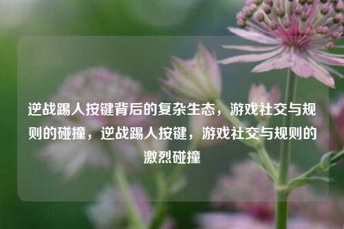 逆战踢人按键背后的复杂生态,游戏社交与规则的碰撞,逆战踢人按键,游戏社交与规则的激烈碰撞