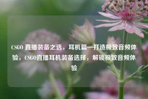 CSGO 直播装备之选，耳机篇—打造极致音频体验，CSGO直播耳机装备选择，解锁极致音频体验