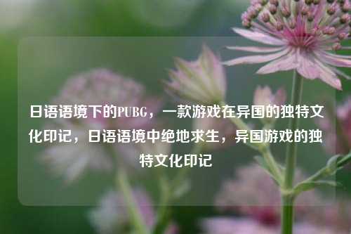 日语语境下的PUBG，一款游戏在异国的独特文化印记，日语语境中绝地求生，异国游戏的独特文化印记