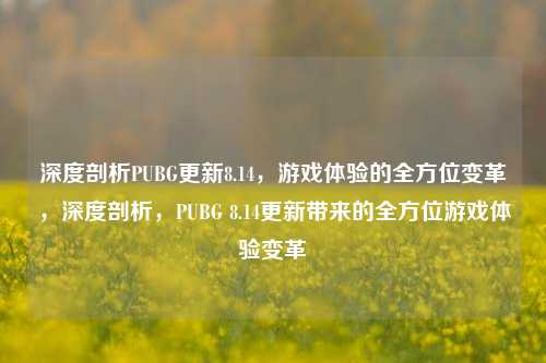 深度剖析PUBG更新8.14,游戏体验的全方位变革,深度剖析,PUBG 8.14更新带来的全方位游戏体验变革