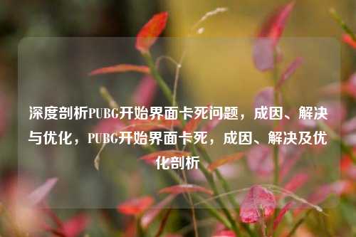 深度剖析PUBG开始界面卡死问题,成因、解决与优化,PUBG开始界面卡死,成因、解决及优化剖析