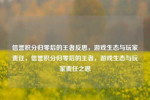 信誉积分归零后的王者反思,游戏生态与玩家责任,信誉积分归零后的王者,游戏生态与玩家责任之思