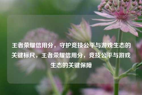 王者荣耀信用分，守护竞技公平与游戏生态的关键标尺，王者荣耀信用分，竞技公平与游戏生态的关键保障