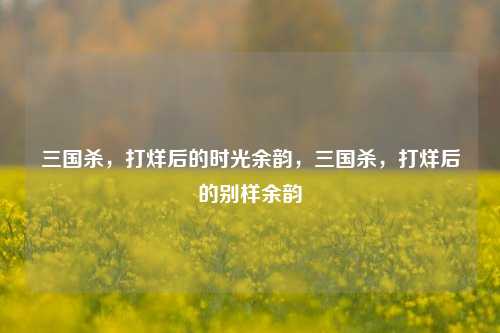 三国杀,打烊后的时光余韵,三国杀,打烊后的别样余韵